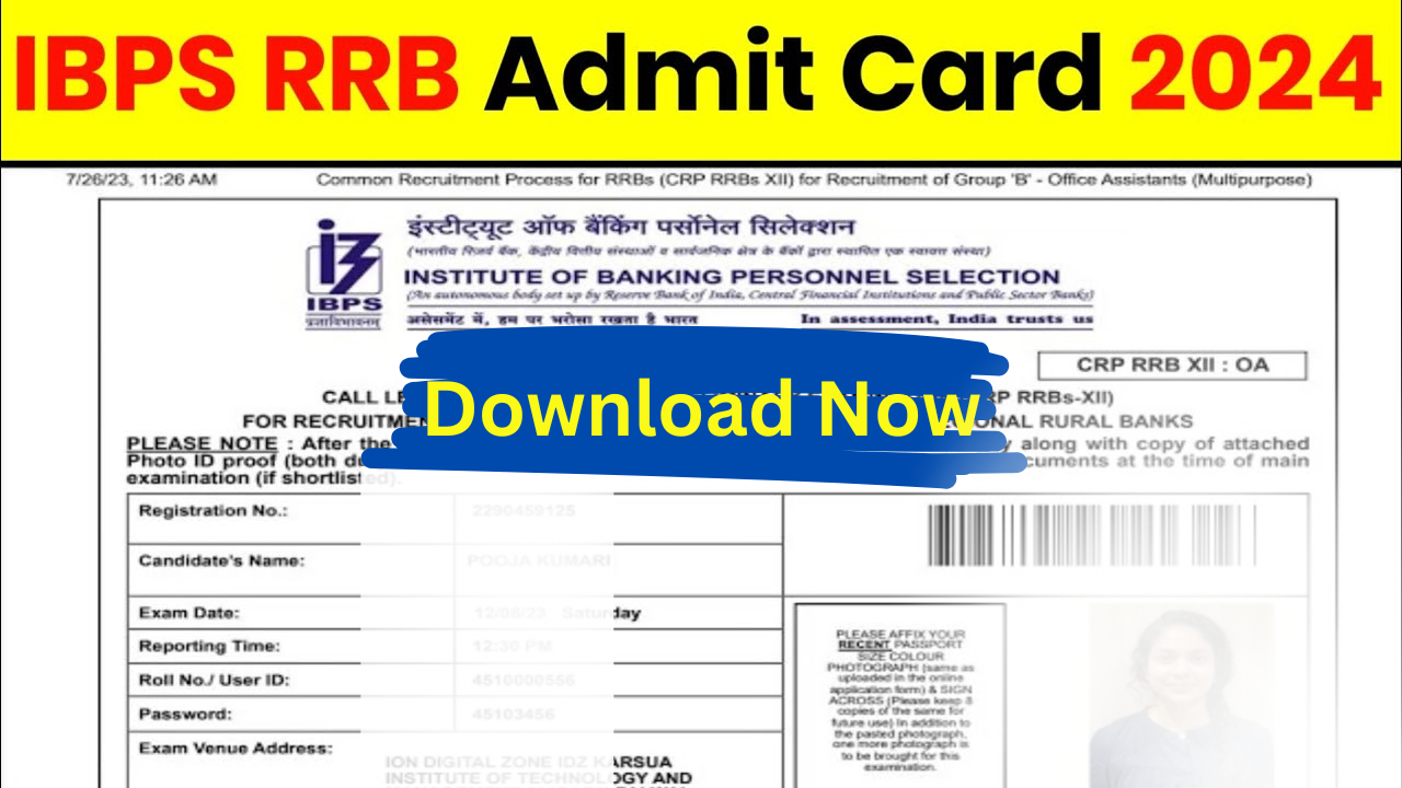 IBPS RRB Admit Card 2024 for PO Mains Exam and Officer Scale-II, III Single Exam: Download Direct Link Here