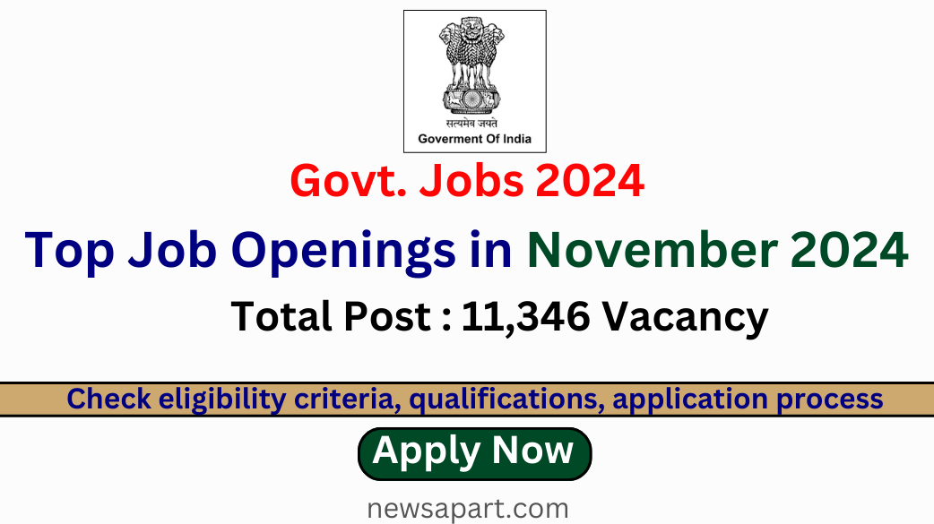 Top Job Openings in November 2024